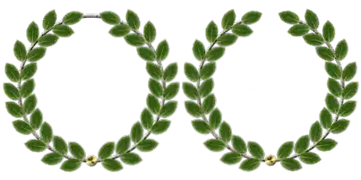 JVSpin online c46b25